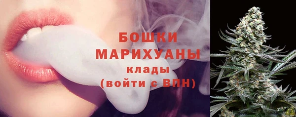 mdpv Вяземский