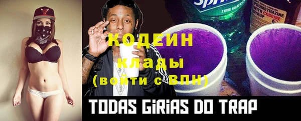 mdpv Вяземский
