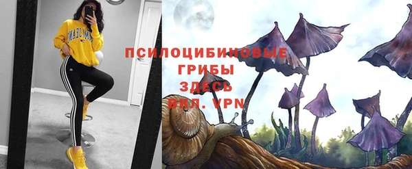 синтетический гашиш Вязьма
